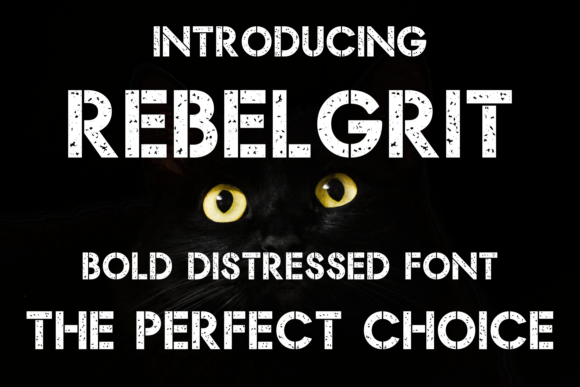 Rebel Grit: A Fearless Font for Bold Branding